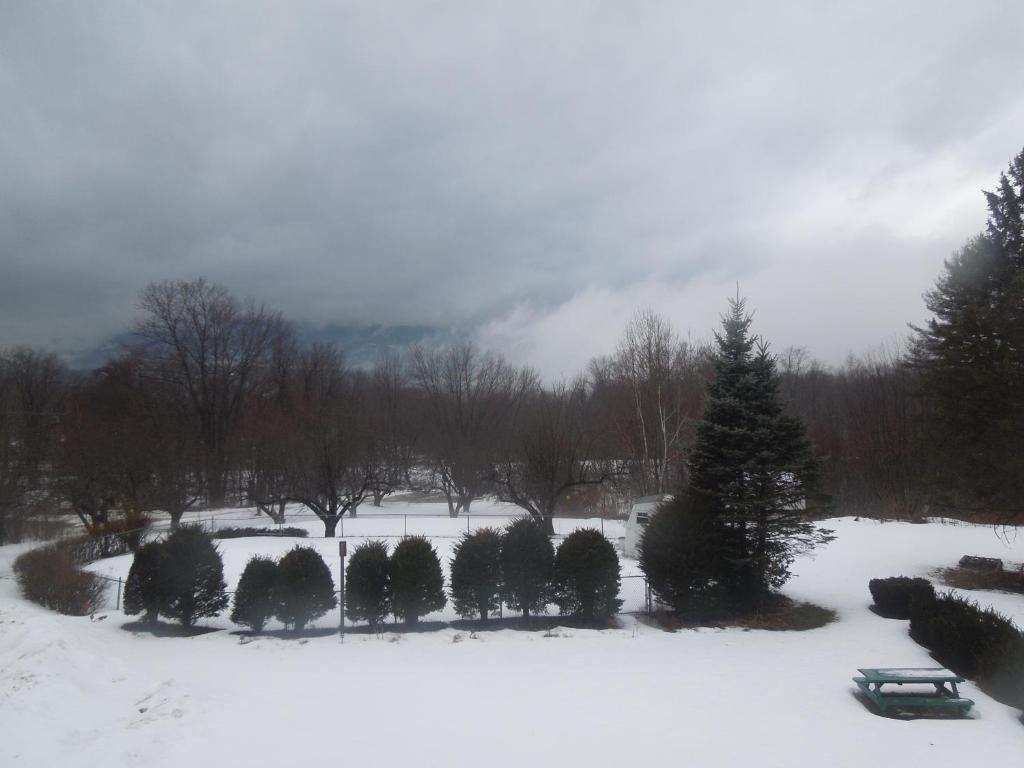Briarcliff Motel North Conway Bagian luar foto